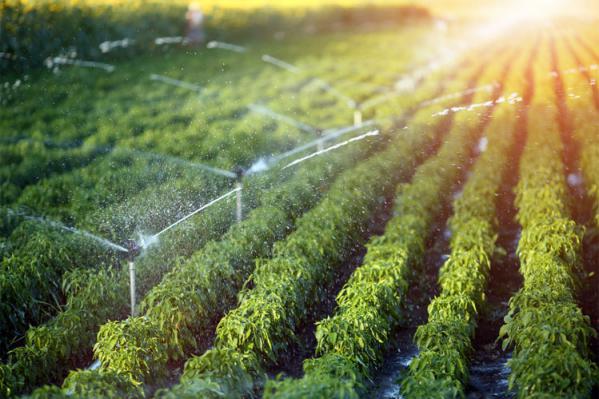 هوشمند سازی زمین های کشاورزی چیست؟