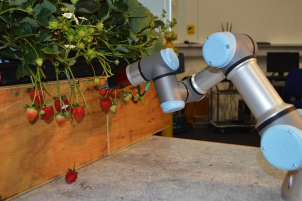 نحوه کار کردن با ربات های کشاورز