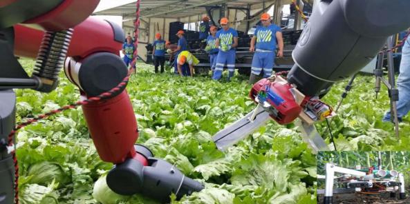 قیمت تولیدی ربات های کشاورز ایرانی